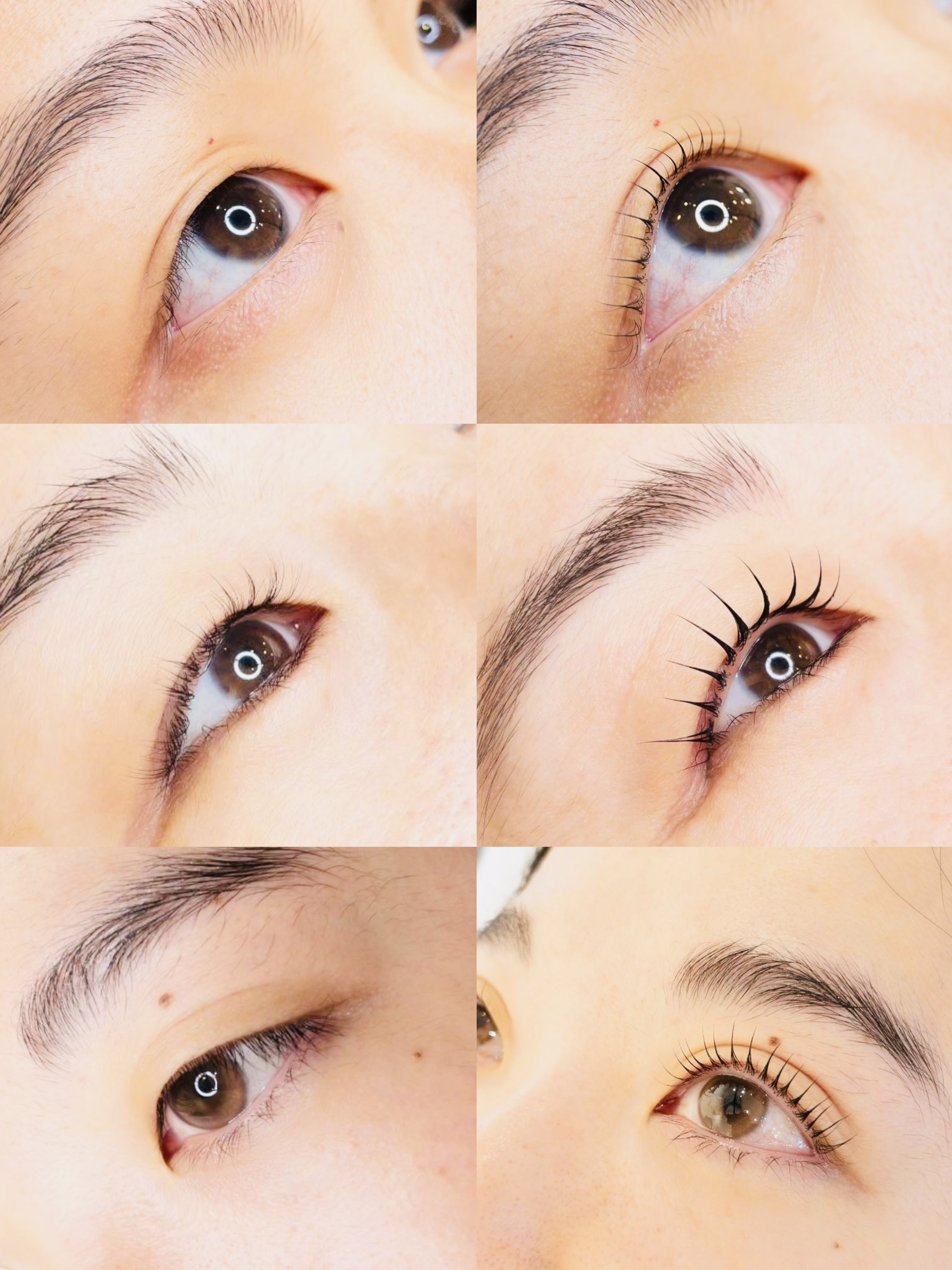 Sweetbrow 썸네일 4