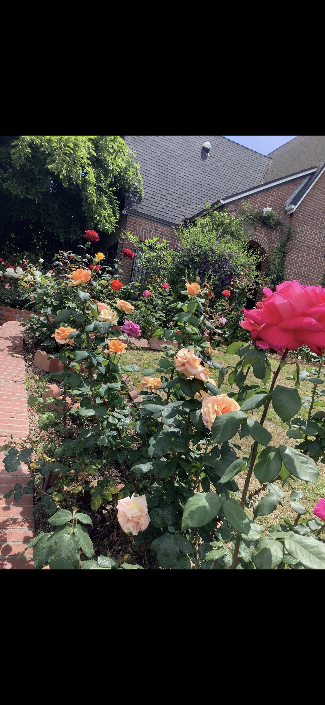 La Korea town house 방 하나 렌트 썸네일 6