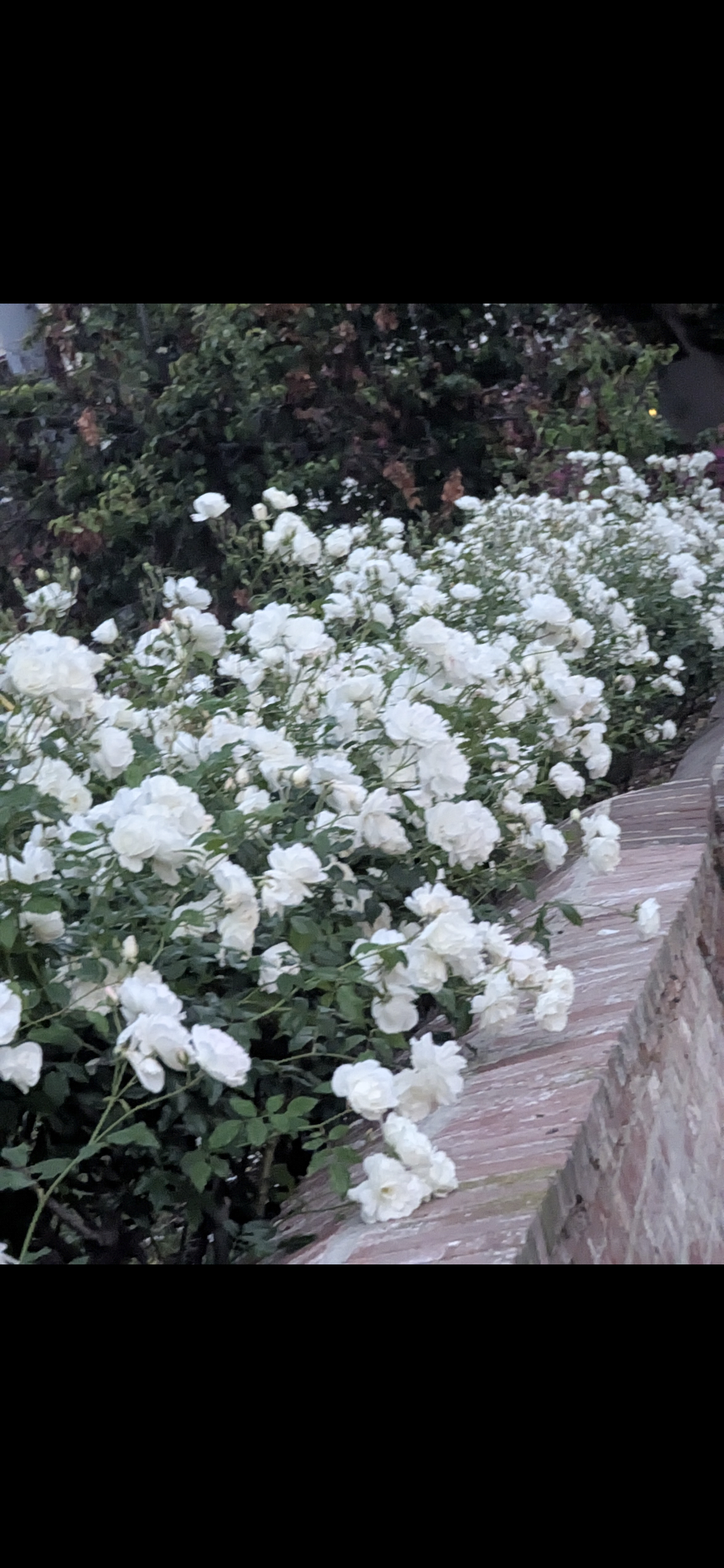 La Korea town house 방 하나 렌트 썸네일 7