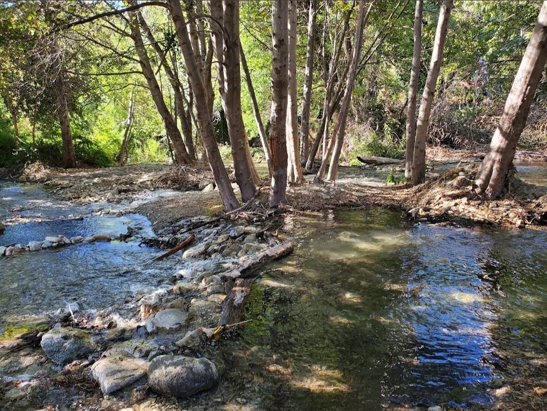 North Fontana 폰타나 주택 아래층독방 렌트합니다. 썸네일 4