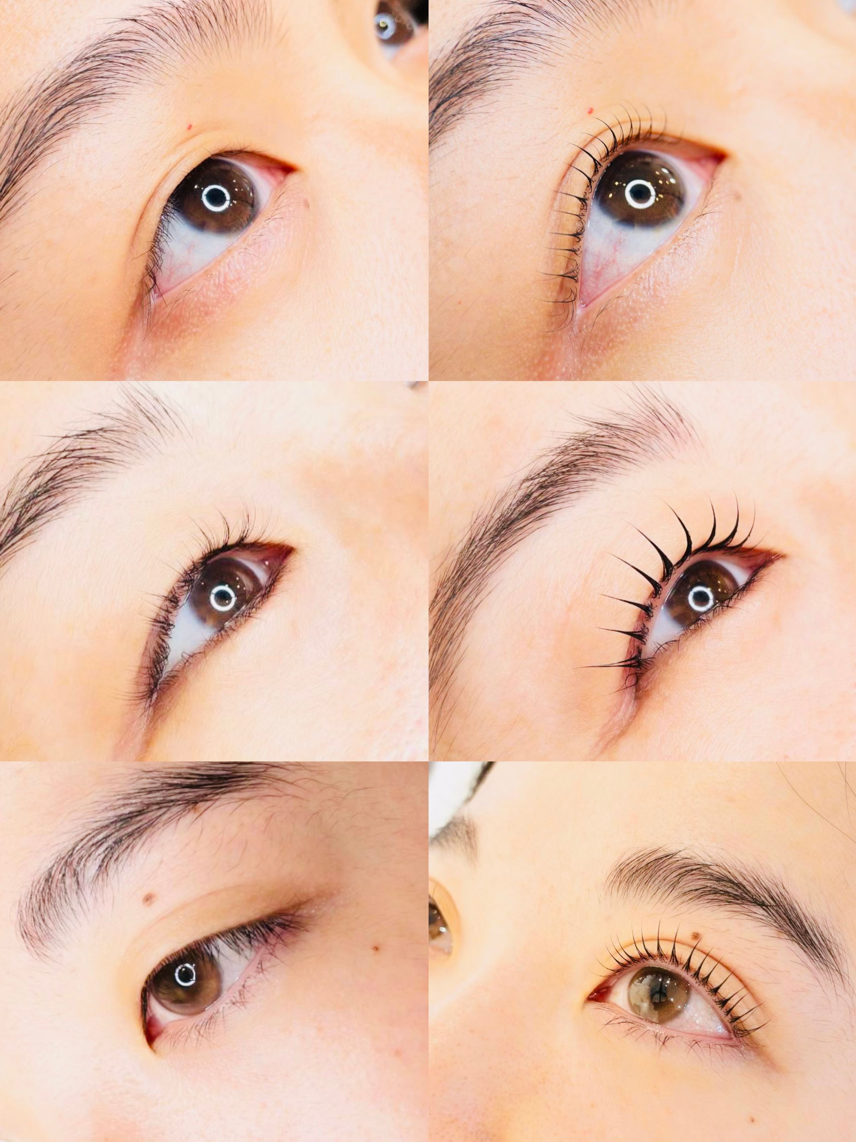 Sweetbrow 썸네일 4
