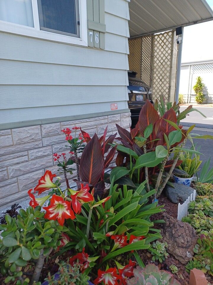 독립 출입구, 개인욕실 방 렌트 썸네일 3