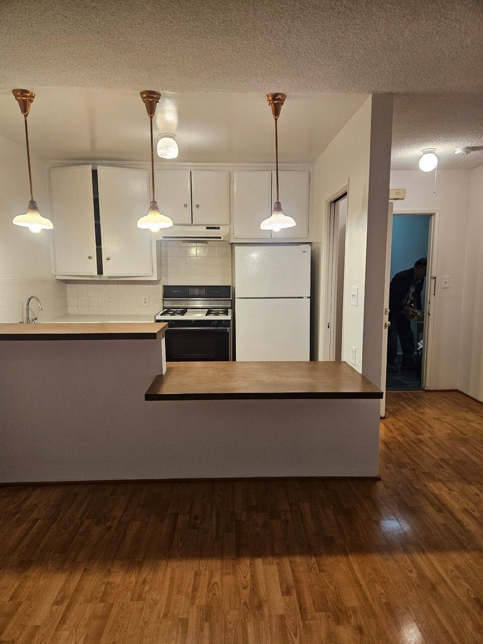 1B.1B.1P. 청소비 없음, 대폭할인,3가&옥시덴탈 썸네일 2