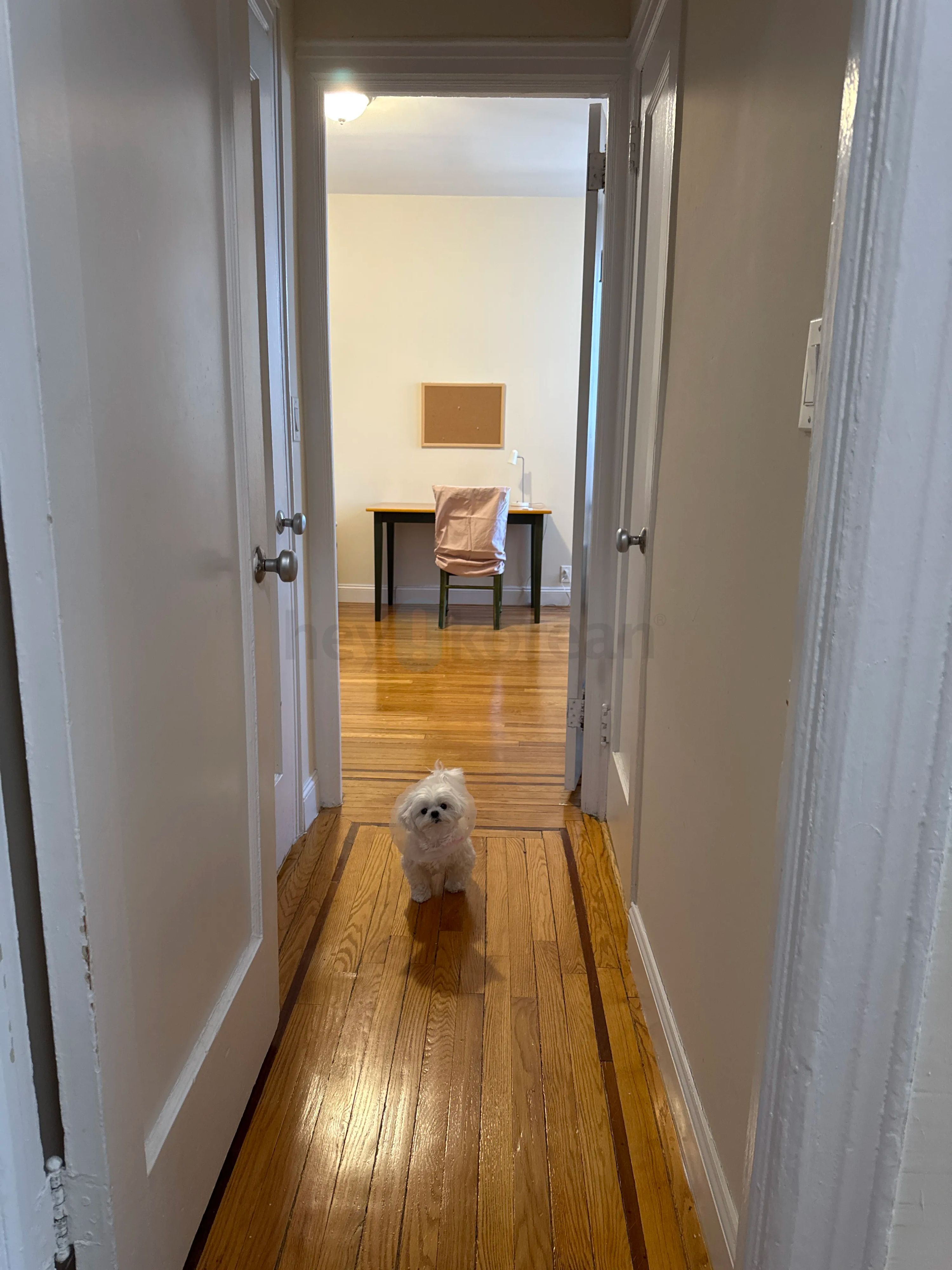 급구!!!165가 브로드웨이역 앞 여성 룸메구해요 썸네일 4