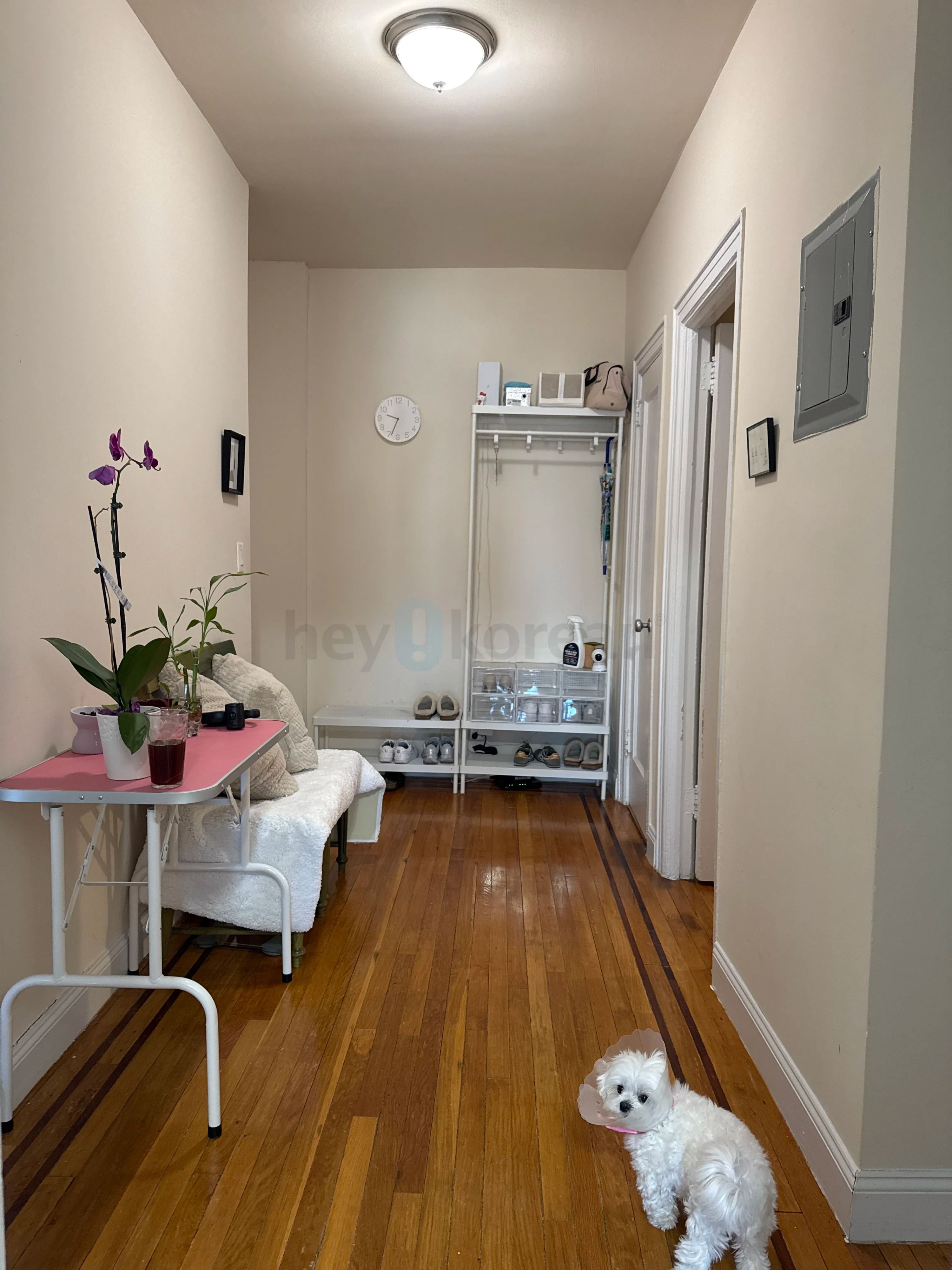 급구!!!165가 브로드웨이역 앞 여성 룸메구해요 썸네일 8